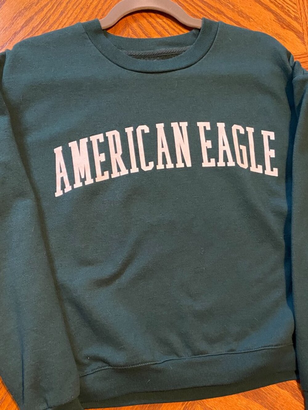 American Eagle Green Sweatshirt